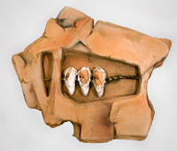 Cast Handmade Paper by Georgette L. Veeder